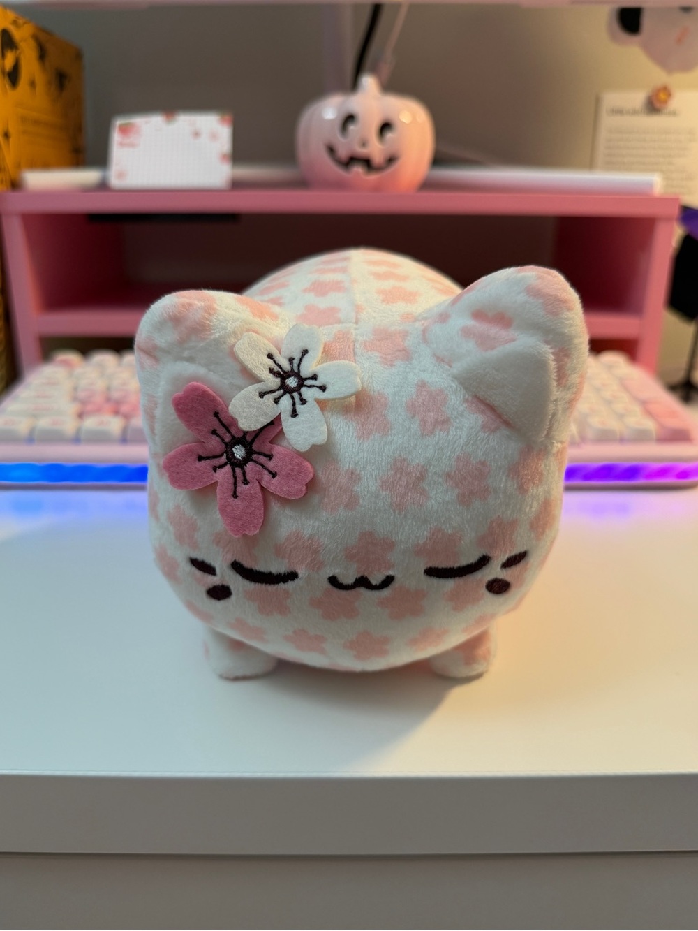 Aurora Tasty Peach Meowchi Sakura Blossom Flavor EUC